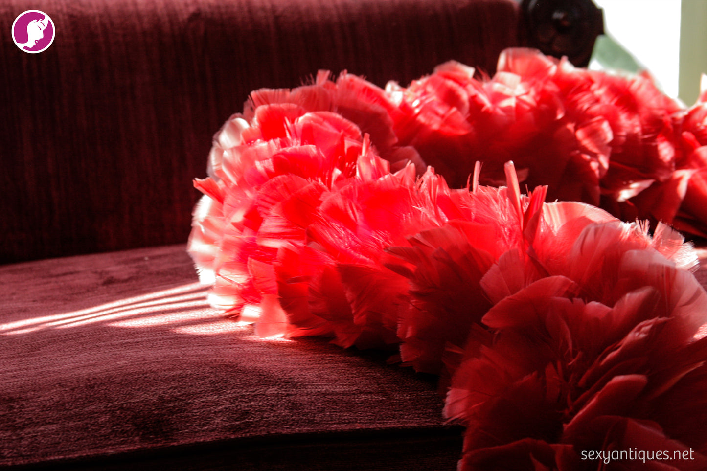 Red Feather Boa – Sensual Photography Prop