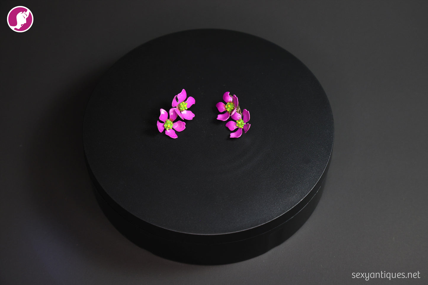 1960 Brass and Enameled Metal Earrings